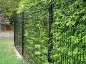 Купить забор из сварной сетки в Донецке Забор из сварной сетки - ограждение, которое состоит из металлических прутьев, соединенных между собой сваркой. Отличается высокой прочностью, устойчивостью к коррозии и механическим повреждениям. Ограждения такого типа имеют привлекательный внешний вид и могут быть использованы для различных целей, например, с целью защиты территории от проникновения посторонних людей или животных, а также при разграничении зон на участке. Купить забор из сварной сетки в ДНР можно на сайте компании «Дор-Хан-Донецк». Продукция бренда «DoorHan», которую можно купить на нашем сайте, изготавливается из высококачественной оцинкованной стали, что обеспечивает ее прочность и долговечность. Забор из сварной сетки имеет высокую степень защиты от коррозии, что делает его идеальным решением для создания надежного и привлекательного ограждения частного дома, дачного участка, парковки и промышленной территории различного назначения. 5 причин купить забор из сварной сетки Дорхан Сварные заборы из сетки – это отличный выбор для тех, кто ищет прочный, долговечный и эстетичный вариант ограждения. Продукция, которую можно купить на сайте компании «Дор-Хан-Донецк», обладает рядом преимуществ по сравнению с другими типами заборов: • Прочность и долговечность: заборы изготавливаются из высококачественной проволоки, которая обеспечивает высокую прочность и устойчивость к коррозии. Это позволяет им служить долгие годы без необходимости ремонта или замены; • Легкость монтажа: заборы легко устанавливаются благодаря простой конструкции и небольшим размерам элементов. Они могут быть установлены на любой поверхности, включая землю, бетон или кирпичную кладку; • Эстетичность: конструкции выглядят современно и стильно благодаря своей сетчатой структуре. Они позволяют видеть, что происходит внутри участка, при этом оставаясь прозрачными для света и воздуха; • Защита от злоумышленников: сварные заборы обеспечивают надежную защиту от проникновения на участок нежелательных гостей. Они предотвращают проникновение на территорию посторонних людей и животных, а также защищают имущество от кражи. Дополнительно можно купить системы безопасности – сигнализацию, камеры и т.д; • Универсальность: заборы могут использоваться с целью ограждения различных объектов, включая жилые дома, дачи, садовые участки, коммерческие объекты и т.д. Они подходят под все типы местности и климатические условия. Заборы из сварной сетки могут быть разных типов и конструкций в зависимости от назначения и условий эксплуатации. На сайте «Дор-Хан-Донецк» можно купить различные виды заборов – с калиткой, воротами и системами безопасности по привлекательной цене. Купить забор из сварной сетки в Донецке по лучшей цене Ищете, где купить хороший забор из сварной сетки в ДНР? Обратитесь в компанию «Дор-Хан-Донецк»! Наши специалисты готовы предоставить вам консультацию по выбору и монтажу забора. Подберем оптимальный вариант ограждения вашего объекта и рассчитаем нужное количество материала за пару минут. Мы поможем вам создать надежный и привлекательный забор на вашем участке или коммерческого объекте в Донецке! 