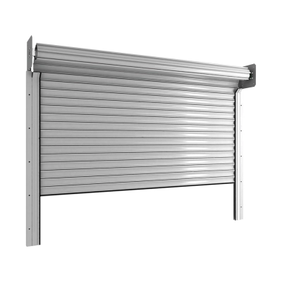 Рулонные ворота из стальных профилей (взломоустойчивые) RHS117/08, RHS117P/08 с внутривальным электроприводом